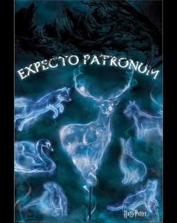 Plakát Harry Potter: Patronus (91,5 x 61 cm)
