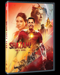 Shazam! Hněv bohů (DVD)