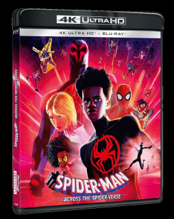 Spider-Man: Napříč paralelními světy (4k Ultra HD Blu-ray + Blu-ray)