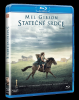 Statčné srdce (Blu-ray)