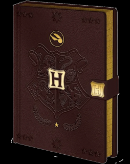 Zápisník Harry Potter: Famfrpál (A5, 240 stran)