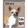 Čivava