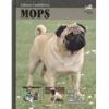 Mops