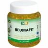 REUMAFIT kostivalový gel s jalovcem+MSM 350g