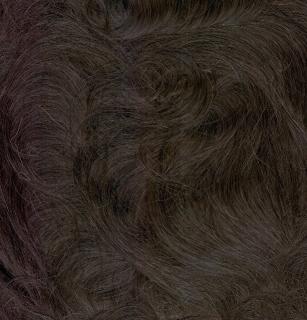 Vlasový systém model Australian 25 x 20 cm  Ostřihání a úprava zdarma. Barva: 4