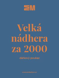 Dárkový kupón v hodnotě 2000,- Kč