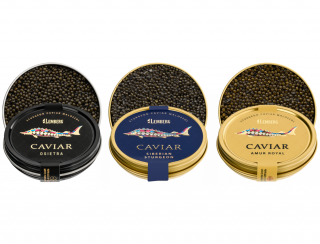 Set jeseterový 20g x3