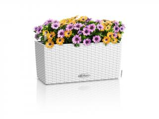 Lechuza Balconera Cottage Barva: Bílá, Velikost: Délka 40 cm