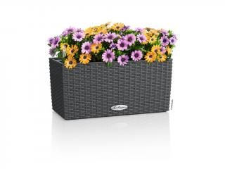 Lechuza Balconera Cottage Barva: Granit, Velikost: Délka 40 cm