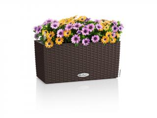 Lechuza Balconera Cottage Barva: Mokka, Velikost: Délka 40 cm