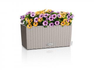 Lechuza Balconera Cottage Barva: Pískově hnědá, Velikost: Délka 40 cm