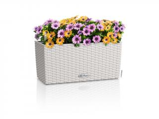 Lechuza Balconera Cottage Barva: Světle šedá, Velikost: Délka 40 cm