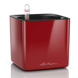Lechuza Cube Glossy Ø 16 cm Barva: Lesklá červená