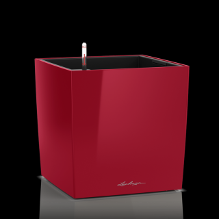 Lechuza Cube Premium (kompletní set) Barva: Scarlet - vysoký lesk, Velikost: Cube Premium 30