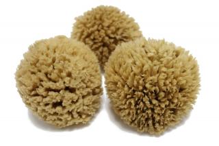 Mořská mycí houba VELIKOST: XL