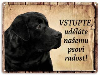 Černý labrador- vstupte