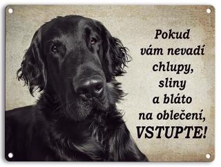 Flat coated retriever černý- chlupy,sliny,bláto