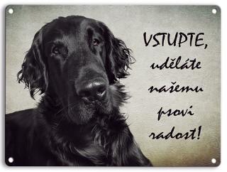 Flat coated retriever černý - Vstupte