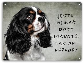 Kavalír - Cavalier King Charles Spaniel - Trikolor