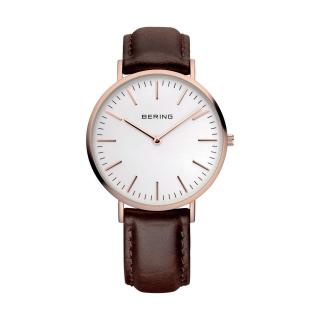 BERING 13738-564