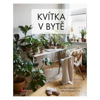 Kvítka v bytě