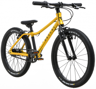Dětské kolo Rascal 20"  Gold