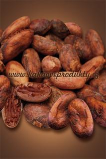 Kakaové boby BIO nepražené, neloupané - pytel, Čokoládovna Troubelice Hmotnost: 10 kg