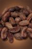 Kakaové boby pražené, neloupané - pytel Čokoládovna Troubelice