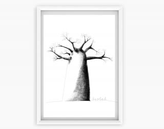Obrázek Baobab Velikost tisku: A4 (210x298 mm)