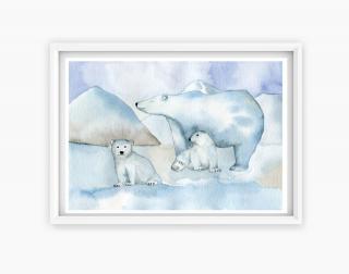 Obrázek Lední medvědi Velikost tisku: A3 (298x420 mm)