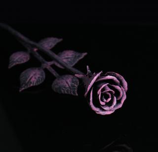 růžička fialovočerná