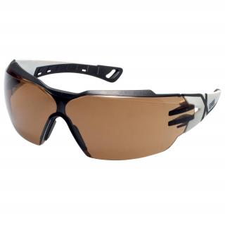 Ochranné brýle Uvex pheos cx2 C