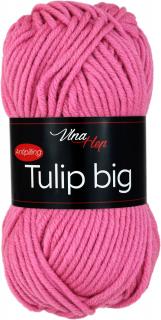 Tulip big 4491