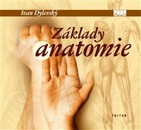 Základy anatomie