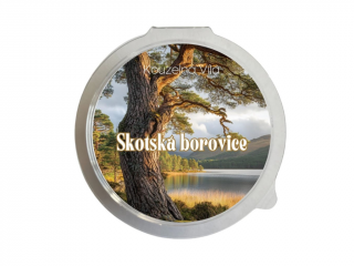 Kouzelná Víla - SKOTSKÁ BOROVICE  Sójový vonný vosk do aromalampy 20g