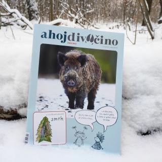 Časopis AHOJ DIVOČINO Číslo: Zima 23