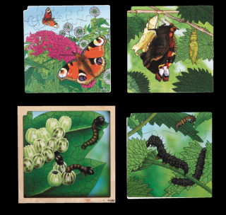 ROLF Education Čtyřvrstvé puzzle Životní cyklus motýla + free APP