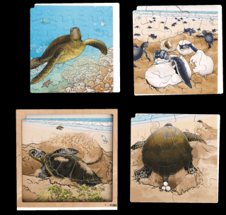 ROLF Education Čtyřvrstvé puzzle Životní cyklus želvy + free APP