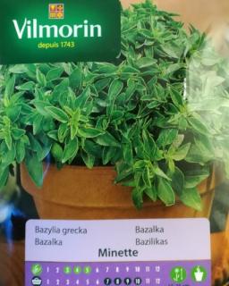 Vilmorin Bazalka řecká 'Minette'