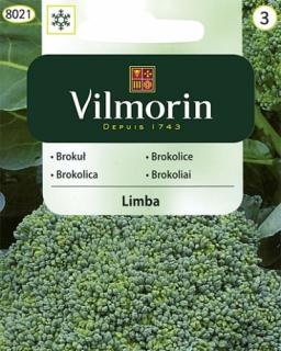 Vilmorin Brokolice 'Limba'