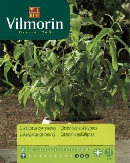 Vilmorin Citronový eukalyptus