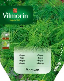 Vilmorin Kopr ´Moravan´