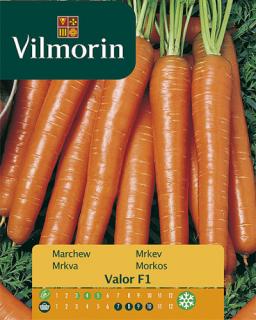 Vilmorin Mrkev ´Valor F1´