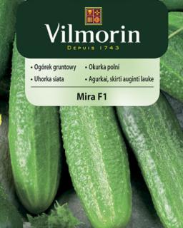 Vilmorin Okurka polní 'Mira' F1