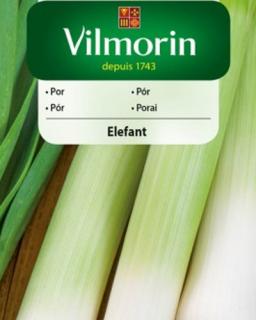 Vilmorin Pór ´Elefant´