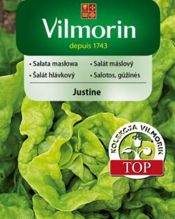 Vilmorin Salát 'Justine'