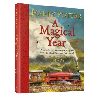 kniha Harry Potter - A Magical Year
