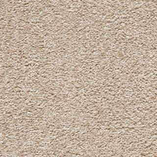DIPLOMAT III 6651 metrážový koberec VARIANTA: Šíře 5m