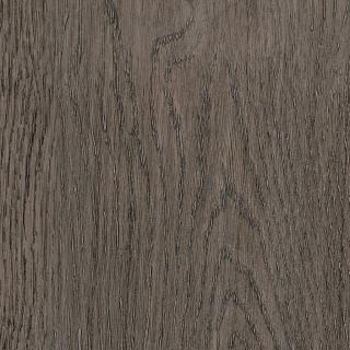 Dutch Oak SF3W2778