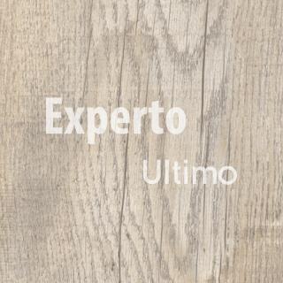 Experto Ultimo Bear Oak 24921 click